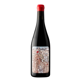 Pinot Noir 2025 Rouge