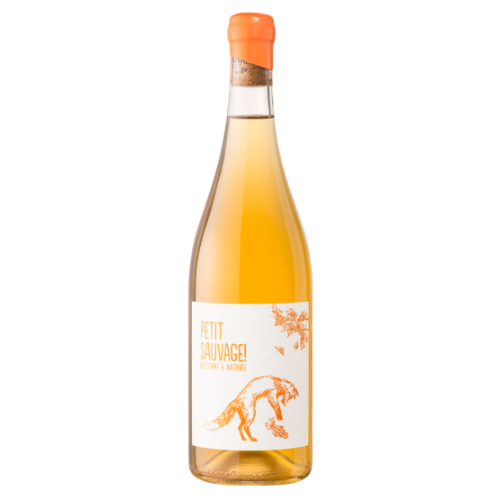 Petit Sauvage 2025 Orange